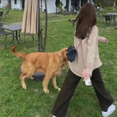 恶人